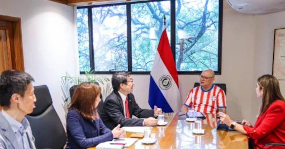 Japón expresa interés en fortalecer inversiones y cooperación con Paraguay