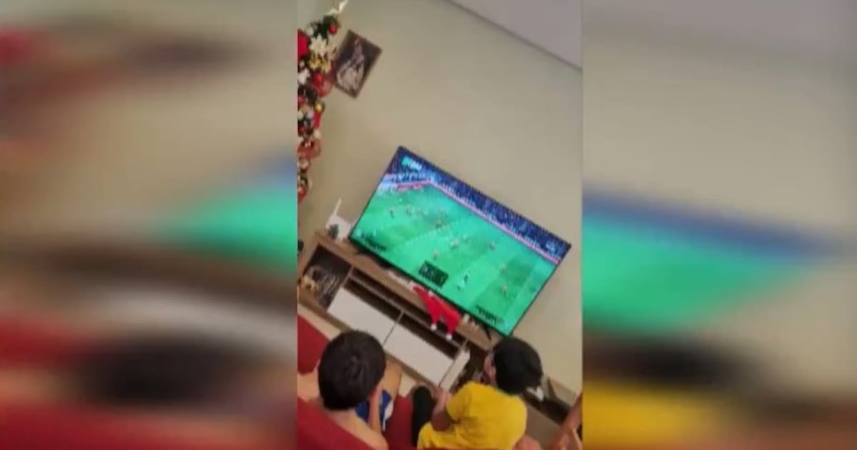 Delincuentes se llevaron el televisor con el que una familia pensaba alentar a la Albirroja