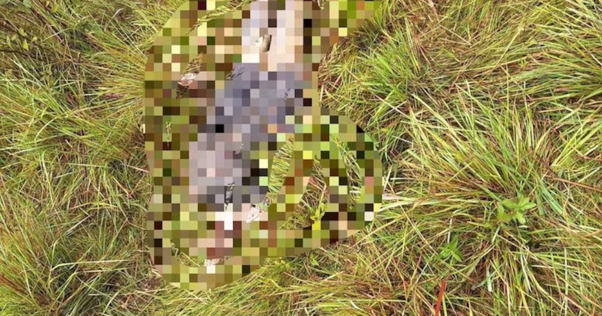 Encuentran cuerpo desmembrado en Alto Verá, Itapúa