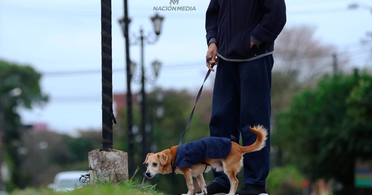 Temperaturas descenderán en los próximos días y se esperan mínimas de 6 °C
