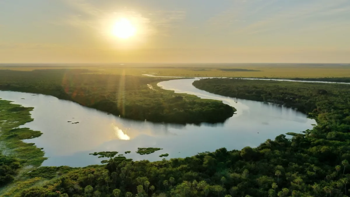 Pantanal: el humedal que resguarda más de 4.700 especies y sostiene el comercio exterior paraguayo