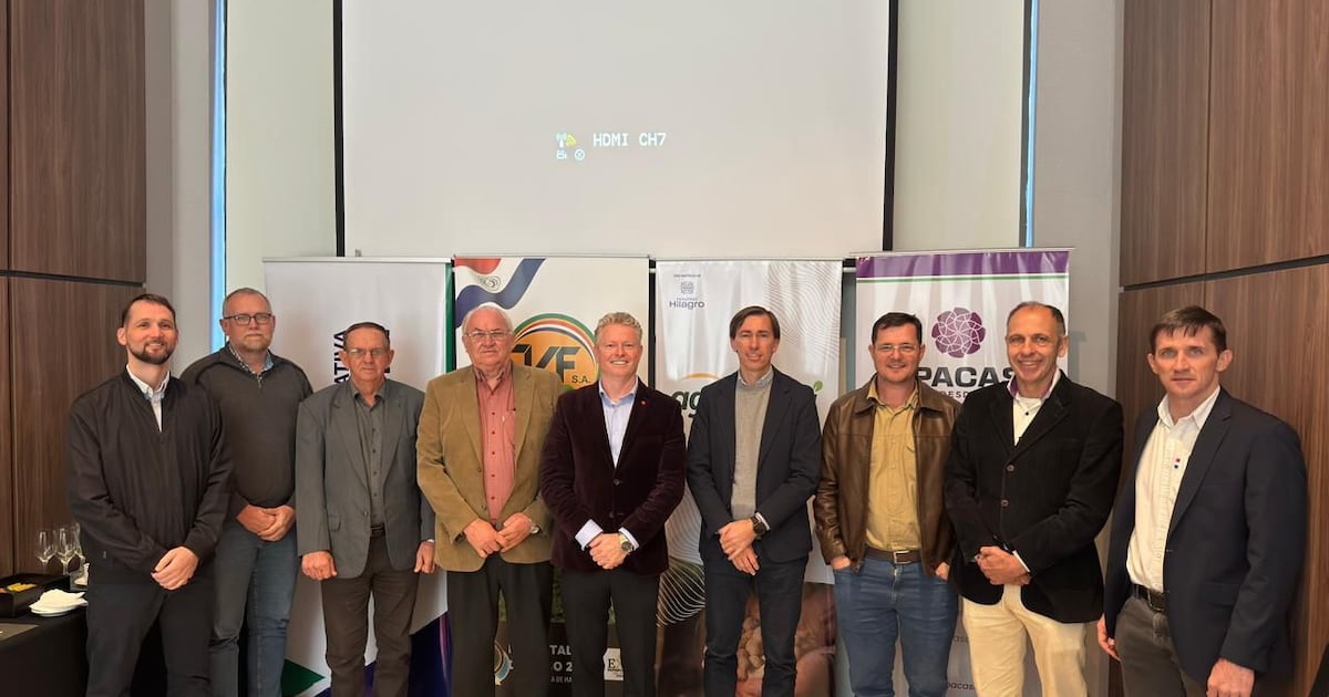 El maní como alternativa competitiva en la exportación agrícola paraguaya