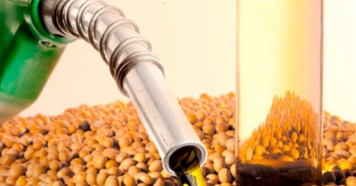 Gobierno da un nuevo impulso a la industria del biocombustible