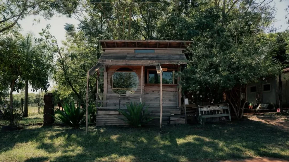 ¿Sabías que existe un pueblo donde los monos viven libres en la plaza? La experiencia de hospedarse en Santa María de Fe