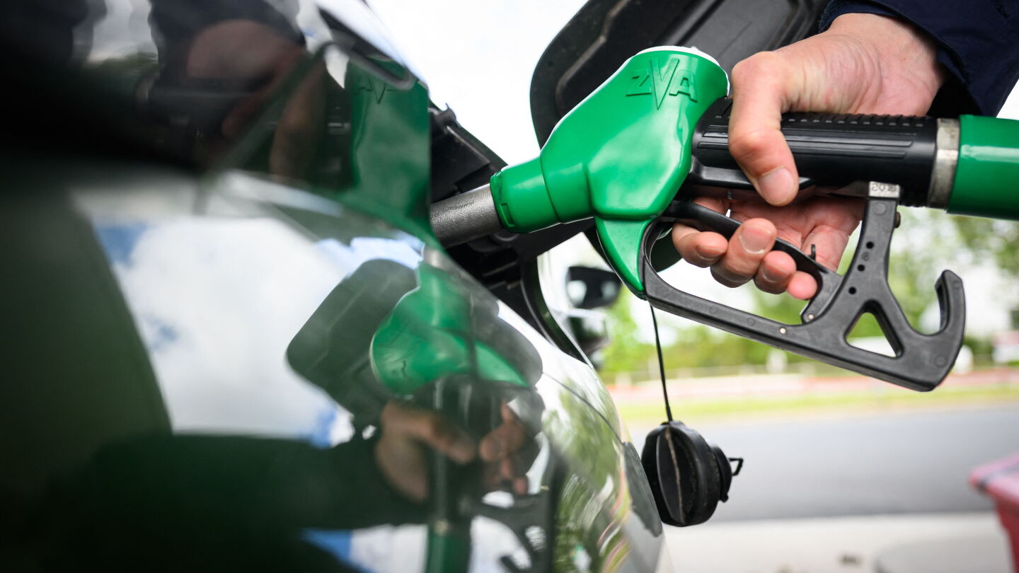 Lo que tenés que saber: Investigan títulos falsos, Petropar evalúa reducción y recaudación de Bello