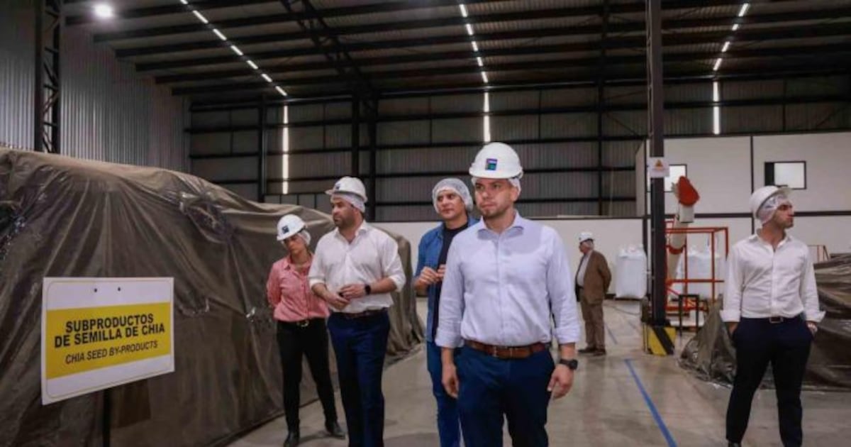 Industria paraguaya consolida su operación y exporta chía y maní a mercados internacionales