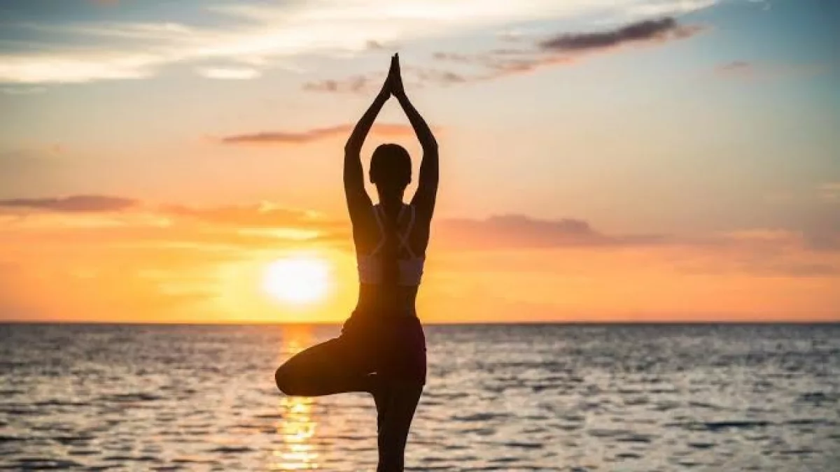 Wellvi: la primera plataforma de wellness del país que centraliza actividades, eventos y experiencias