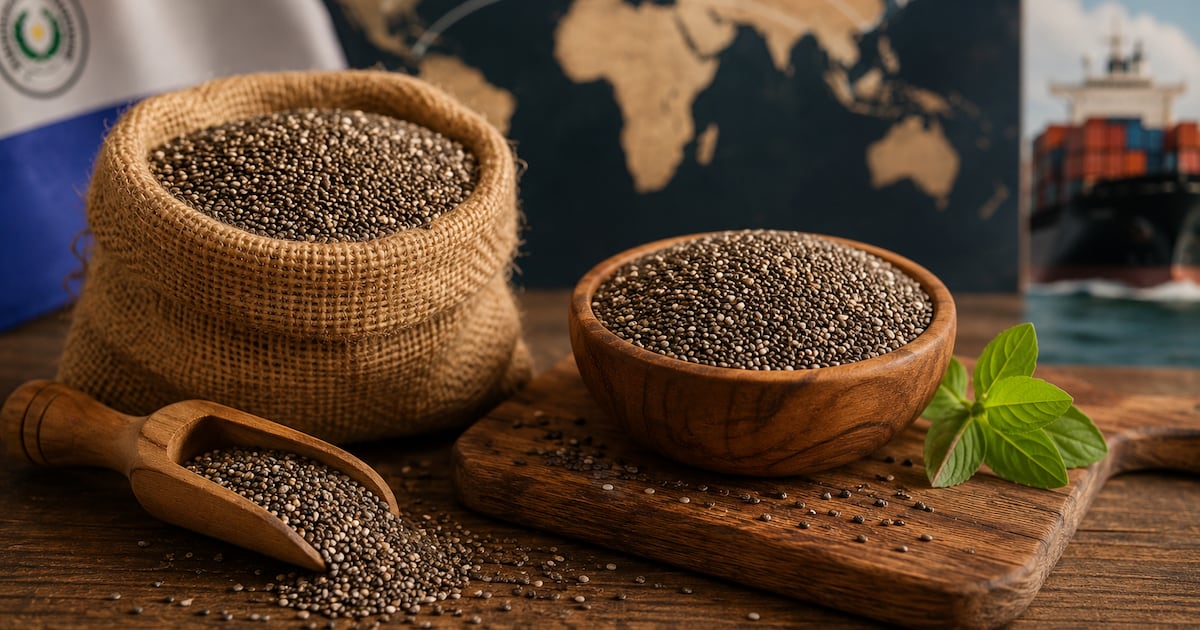 La chía paraguaya se proyecta al mundo desde Puerto Fénix