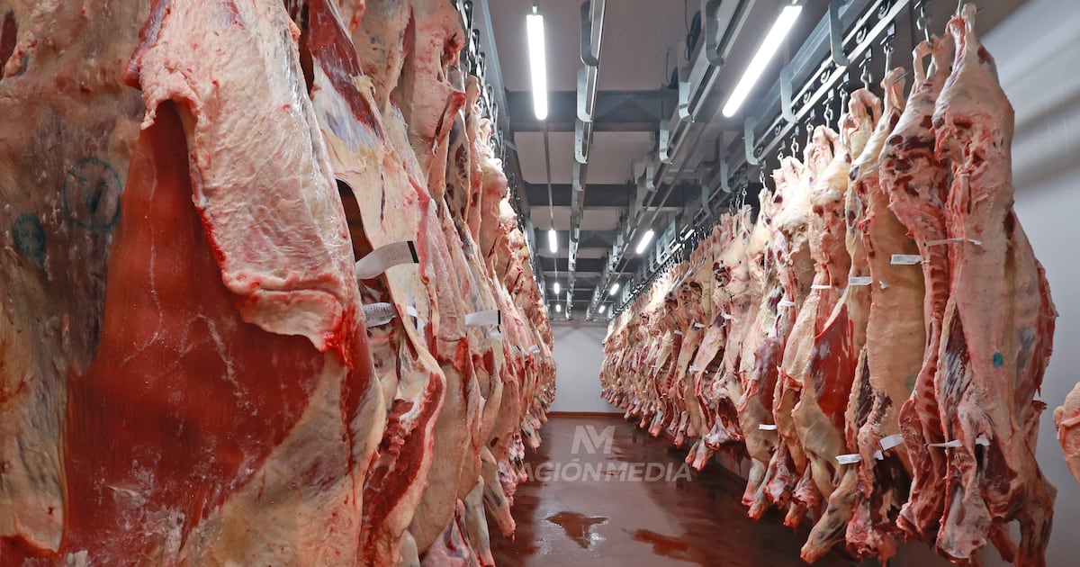 Carne paraguaya podría ganar terreno en mercados prémium ante restricciones a Brasil