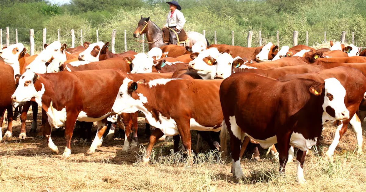 Appec respalda pedido de Paraguay para una distribución más equitativa de las cuotas cárnicas del Mercosur