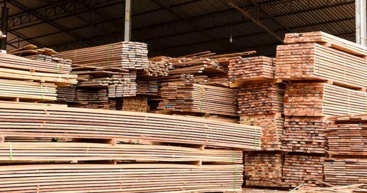 Industrializar la madera: desafío que podría multiplicar la economía del sector forestal