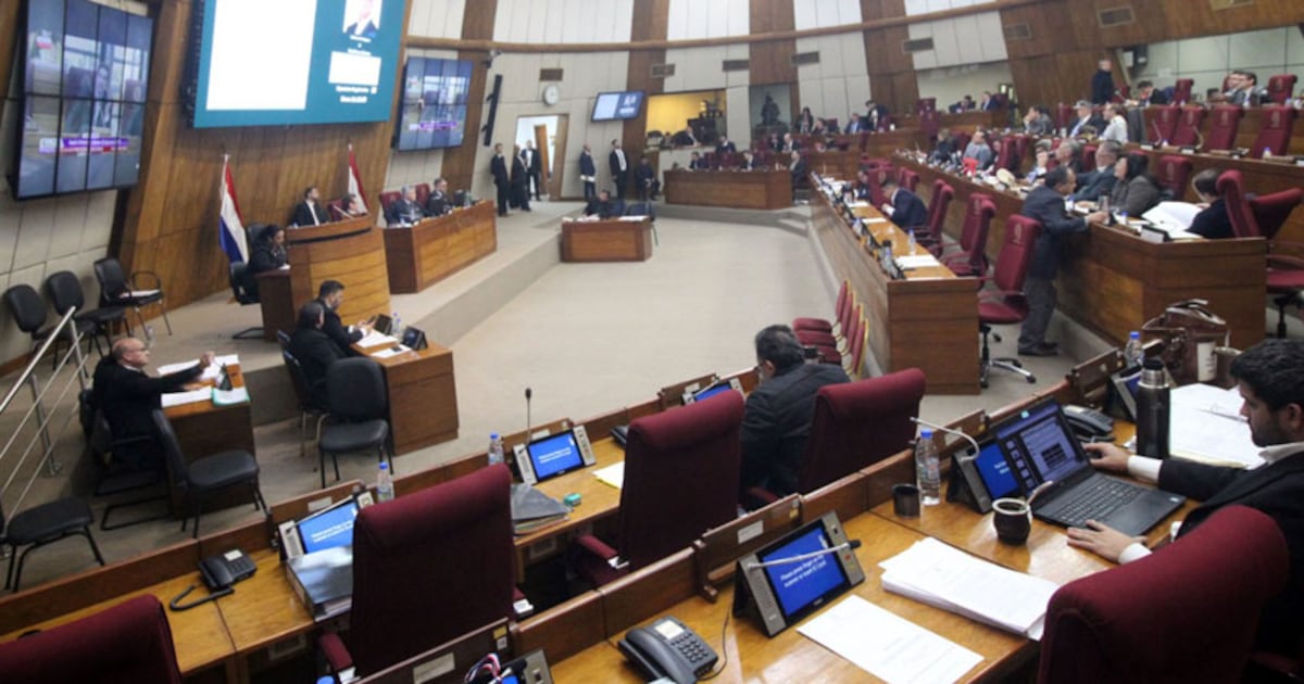 Cámara de Diputados analiza proyecto sobre cese automático de prestación alimentaria