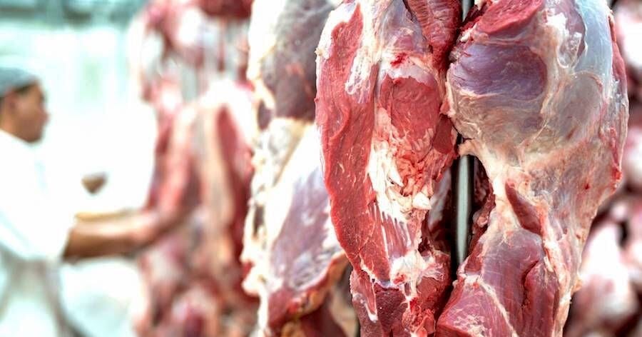 Potencial exportador paraguayo conquista mercado egipcio