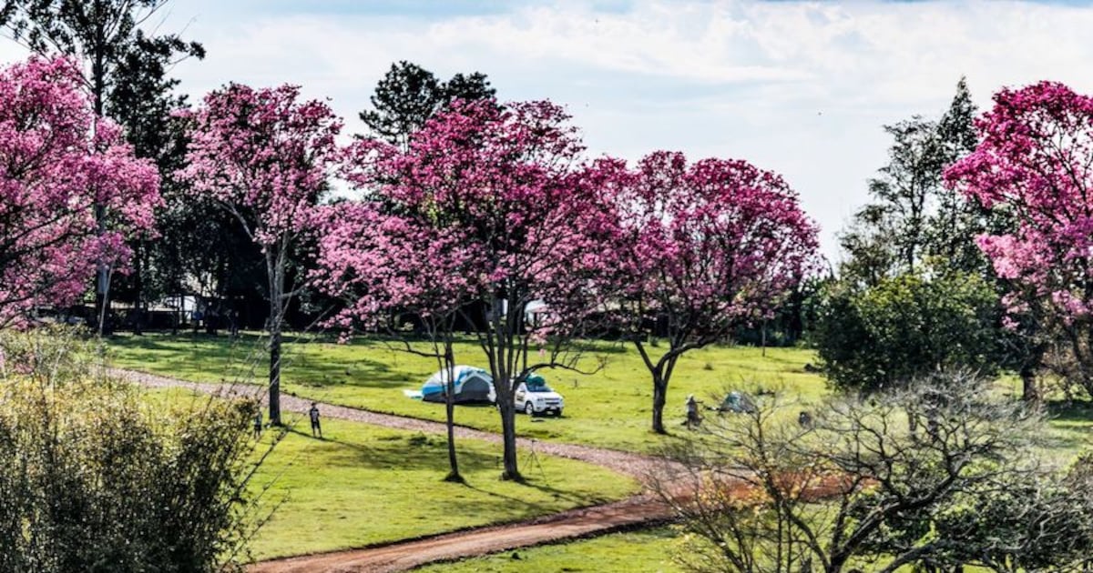 Paraguay ofrece múltiples destinos para las vacaciones de invierno
