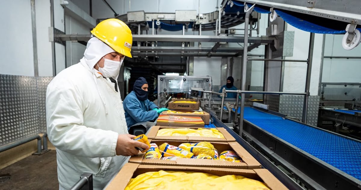 Paraguay hace historia con primera exportación de carne avícola a Taiwán tras una década de espera
