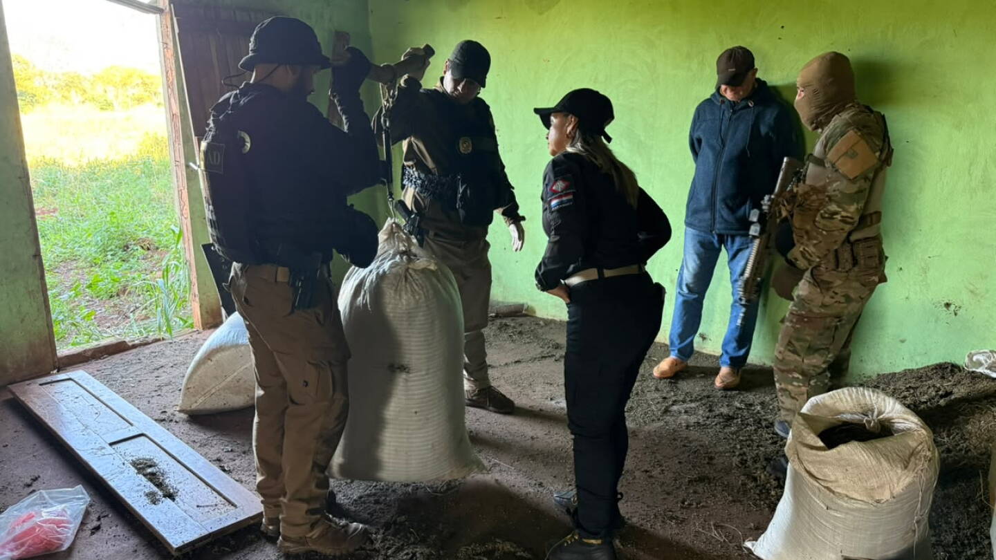 Senad destruye más de 14 toneladas de marihuana y detiene a una persona en Amambay