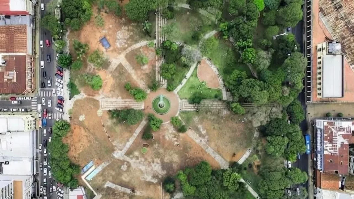 ¿Qué pasará con los árboles de la Plaza Uruguaya? La obra que encendió el debate ambiental en Asunción