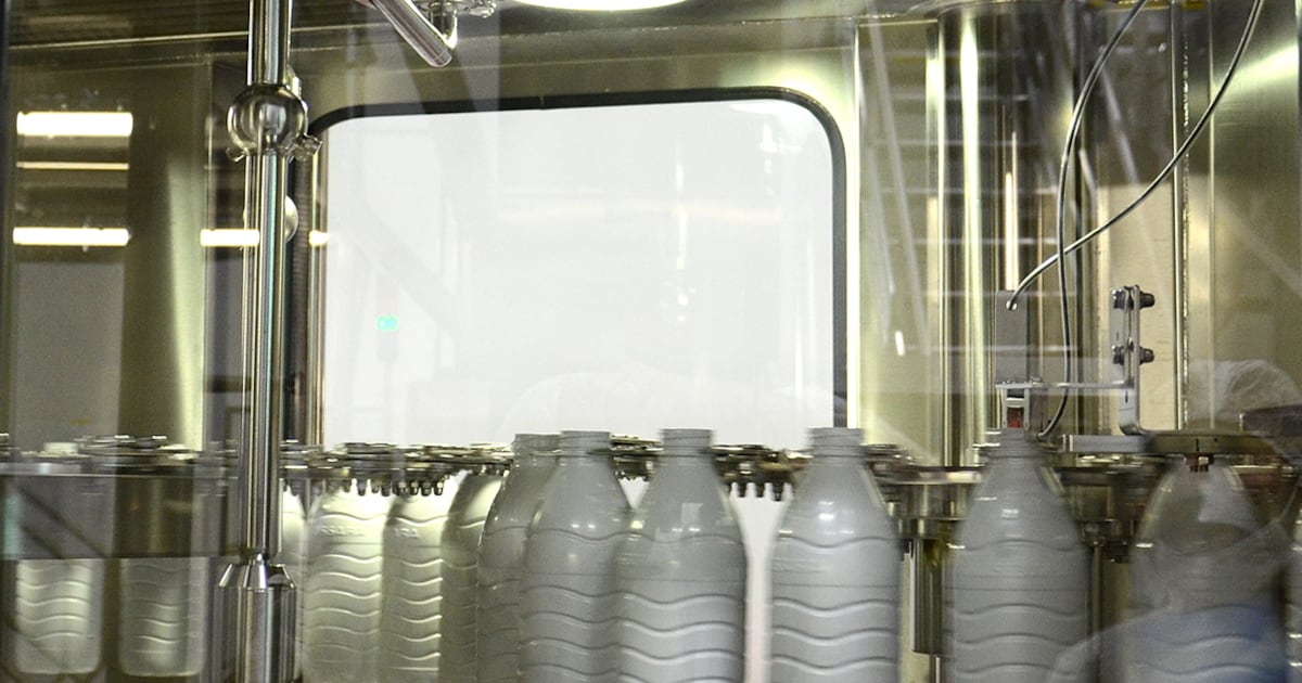 Gigante lácteo de Brasil analiza instalar industria en Paraguay