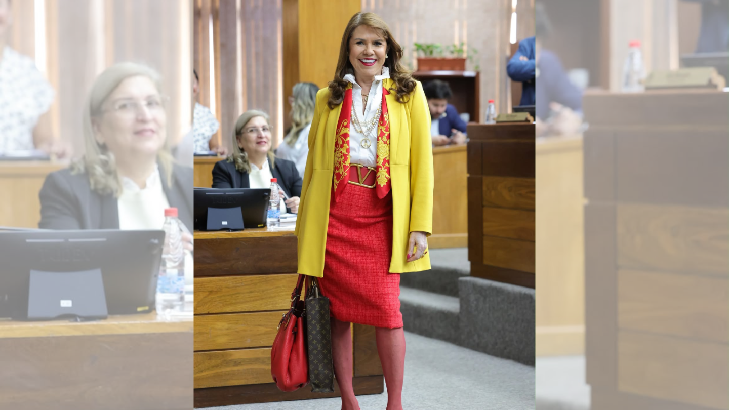 Celeste Amarilla acude a la sesión del Senado enfundada en los colores de España