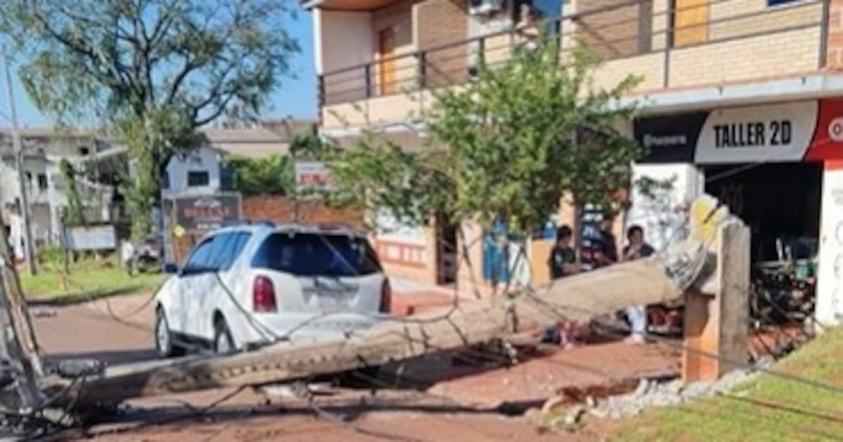Vientos de hasta 100 km/h provocan caída de árboles y masivos cortes de luz en varias regiones