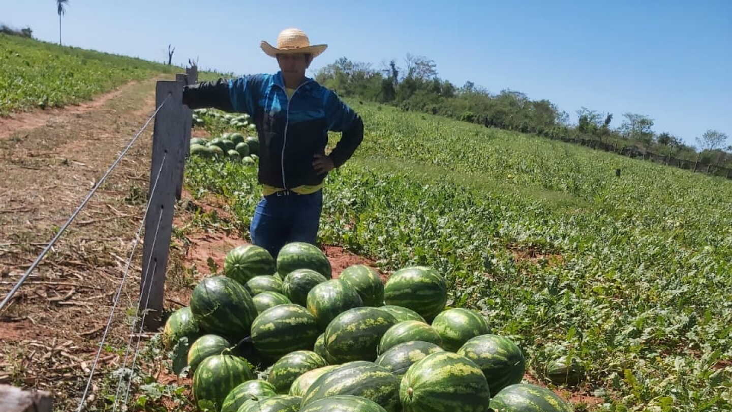 Paraguay se posiciona como productor de sandía en la región