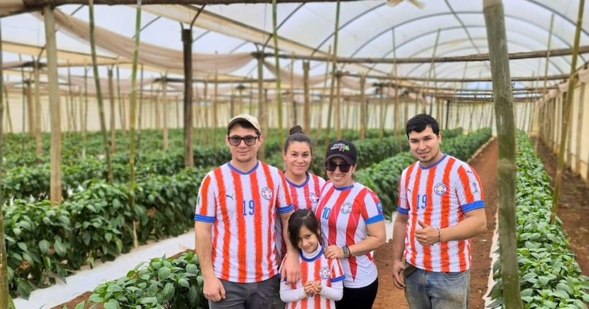 Finca familiar se convierte en modelo de agricultura inteligente con apoyo del CAH