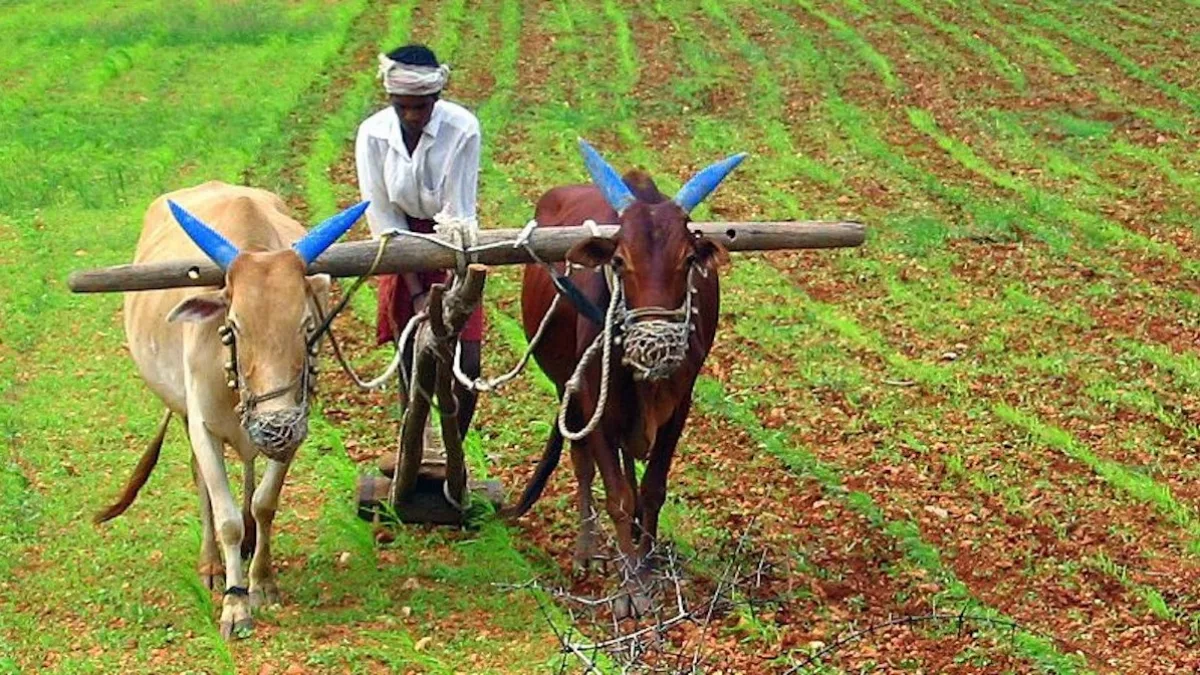 India produce alimentos para 1.400 millones de personas y ahora busca compartir su fórmula agrícola con nuestro campo