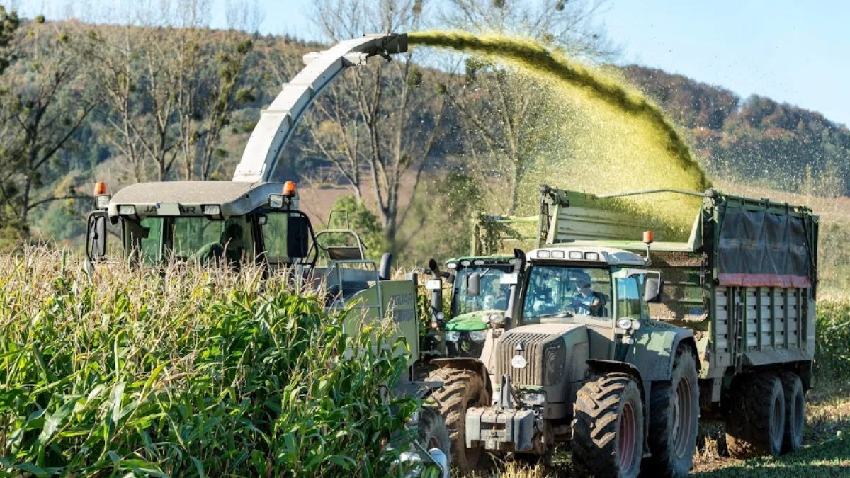 Procampo Verde: la AFD lanza un fondo de US$ 5 millones para impulsar la agricultura y la ganadería sostenibles en el país