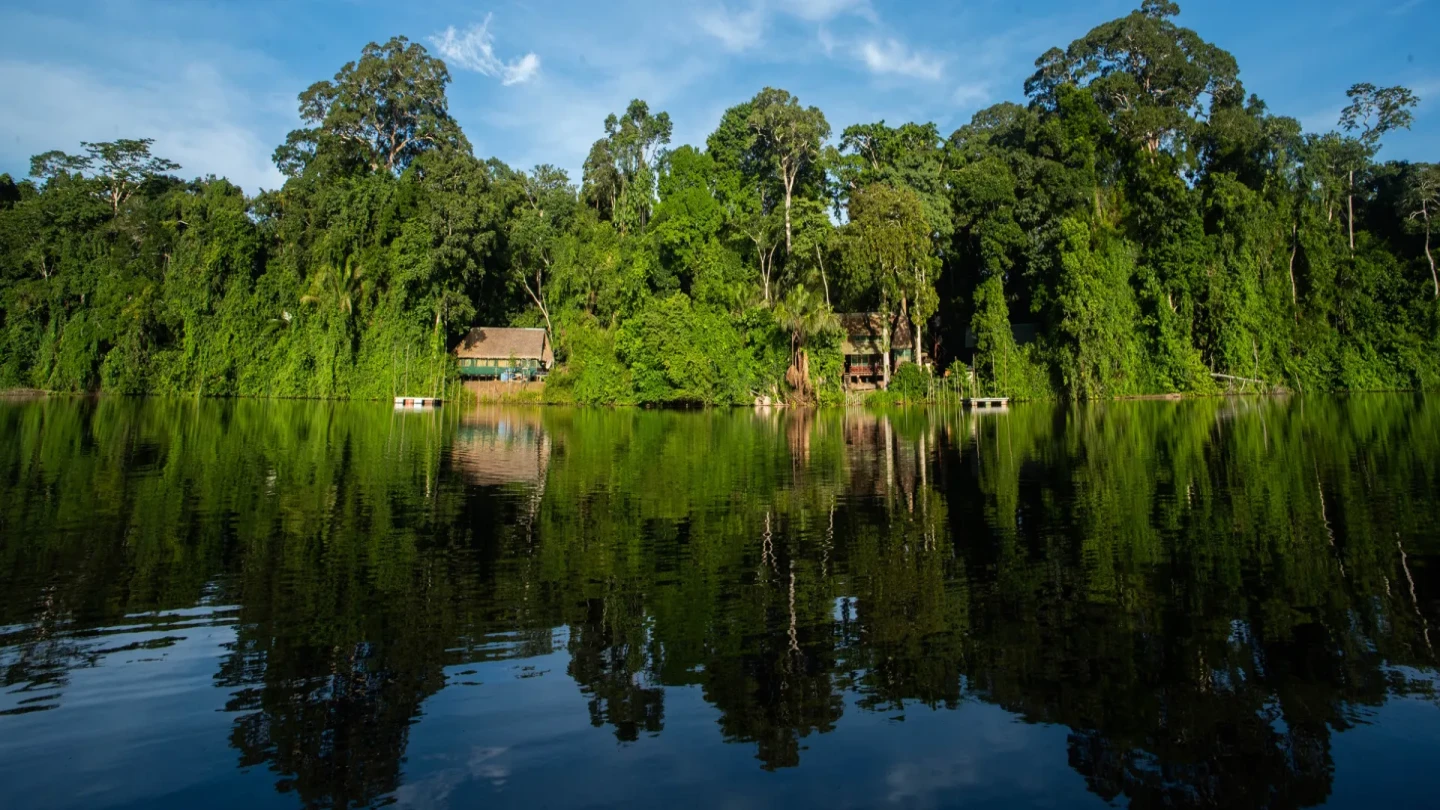 Las reservas de la biosfera evitan perder 7.400 kilómetros cuadrados de bosque amazónico