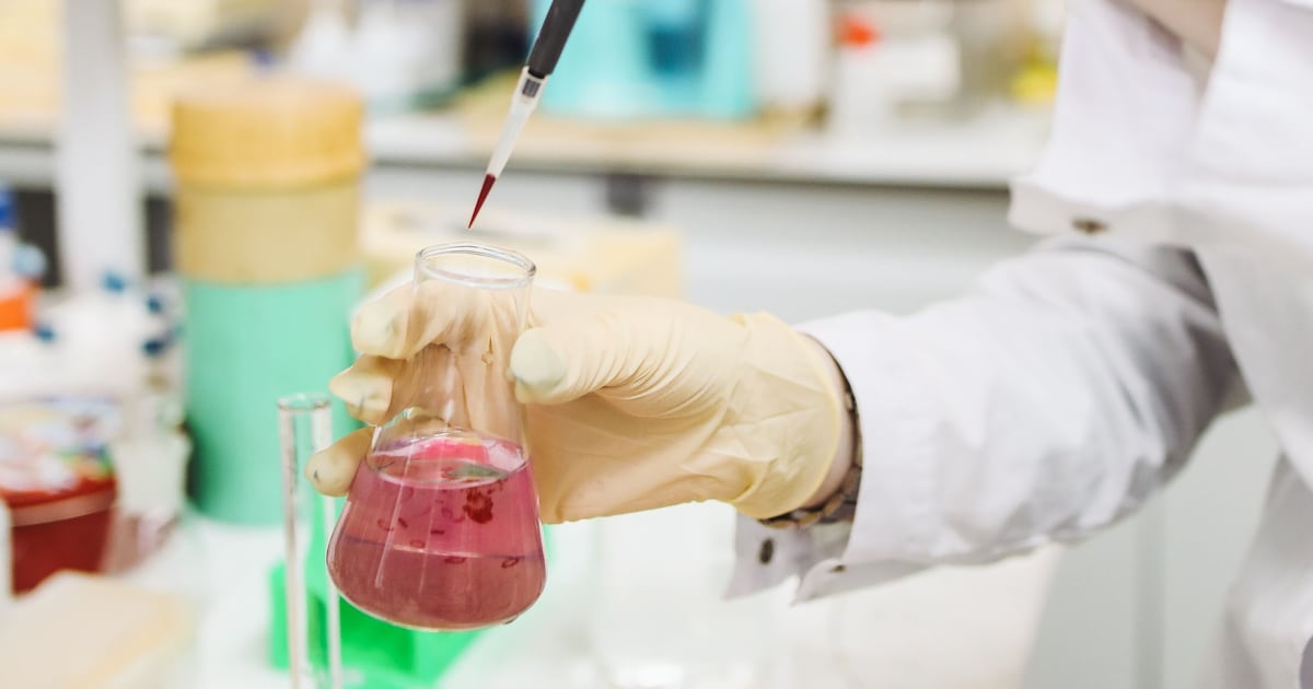 Hallazgo con Viagra abre una prometedora vía para frenar la metástasis del cáncer