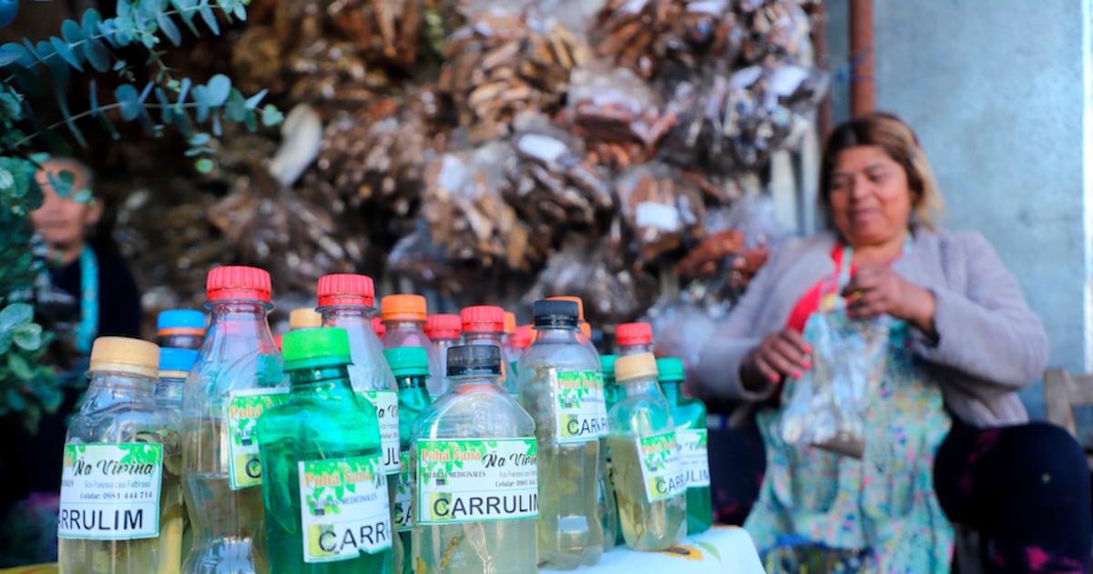 Intensa agenda cultural por el Día Nacional del Carrulim