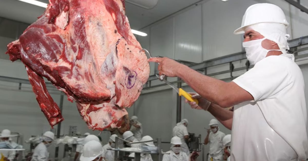 Exportaciones de carne bovina superan USD 1.124 millones pese a reducción en volumen
