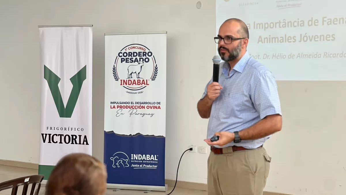 Paraguay tendrá su primer Concurso de Corderos Pesados para medir eficiencia y calidad de carne