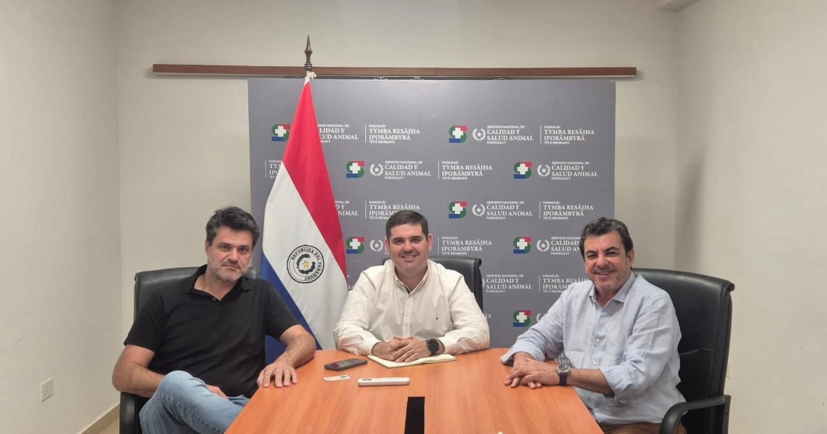 Alianza cárnica impulsará faena de 15.000 cabezas de ganado mensuales en Concepción