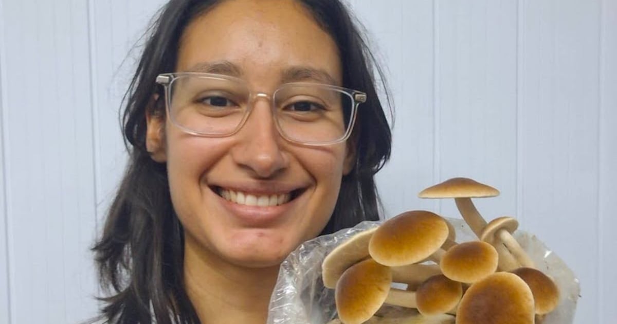 Científica paraguaya destaca las posibilidades alimentarias de los hongos locales