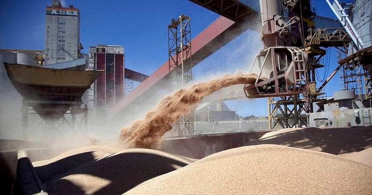 Paraguay implementará balance interno de soja para medir producción, consumo y exportaciones