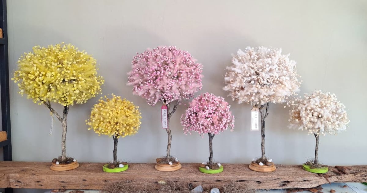 El lapacho florece todo el año: la creatividad que convirtió al árbol nacional en un arreglo floral