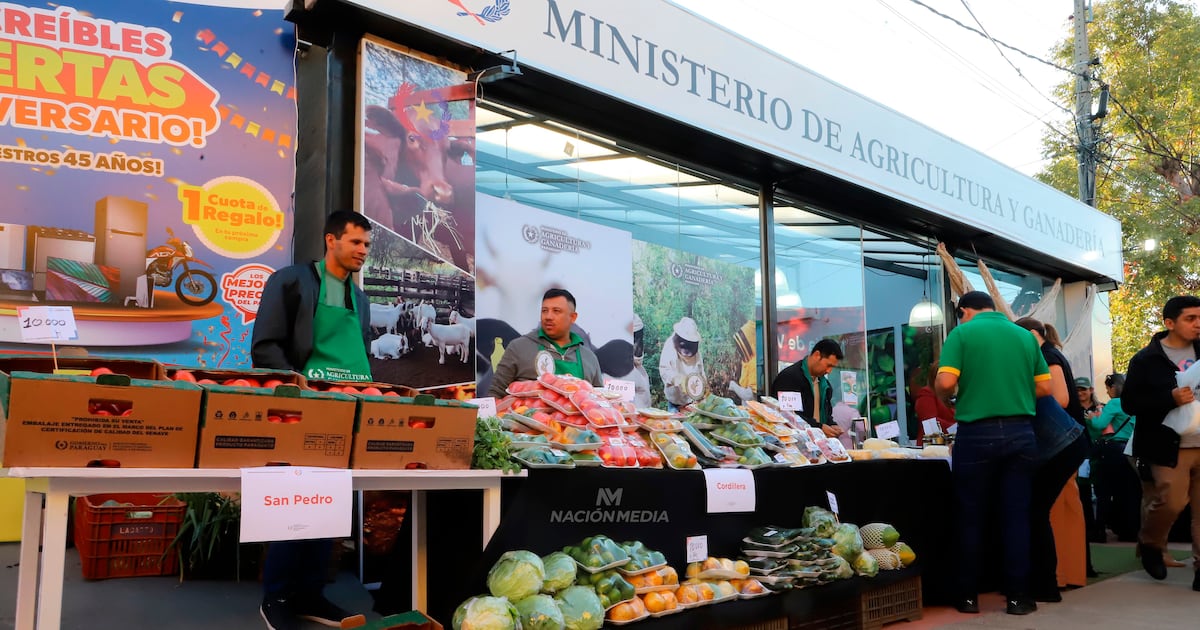 Ingresos de la agricultura familiar superan los G. 670.000 millones en tres años