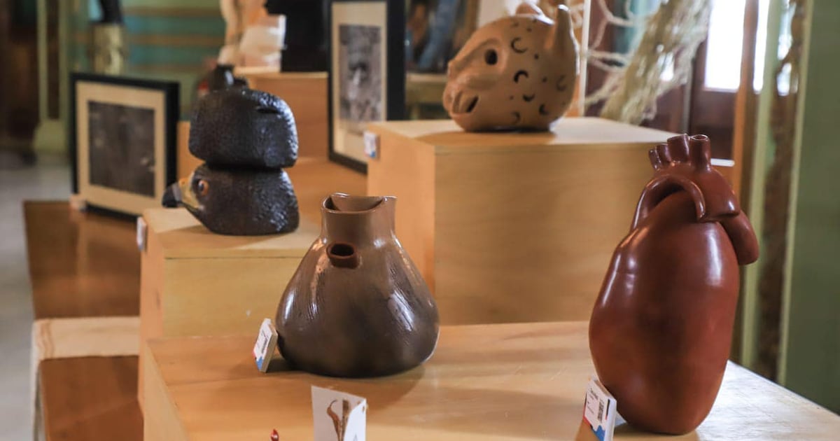 Premios Jajapo 2026 ofrece G. 5 millones a jóvenes artesanos