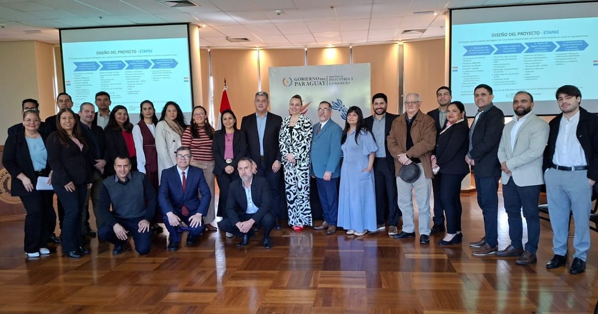 Consultoría y asesoría empresarial será el nuevo perfil que apunta a la asistencia a mipymes