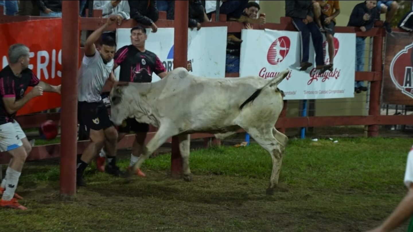 Futiboi, tres décadas de adrenalina en la Expo Concepción