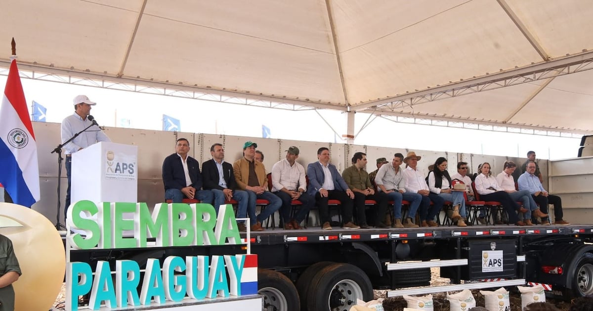 Campaña sojera arranca apuntando a mantener niveles récord de producción