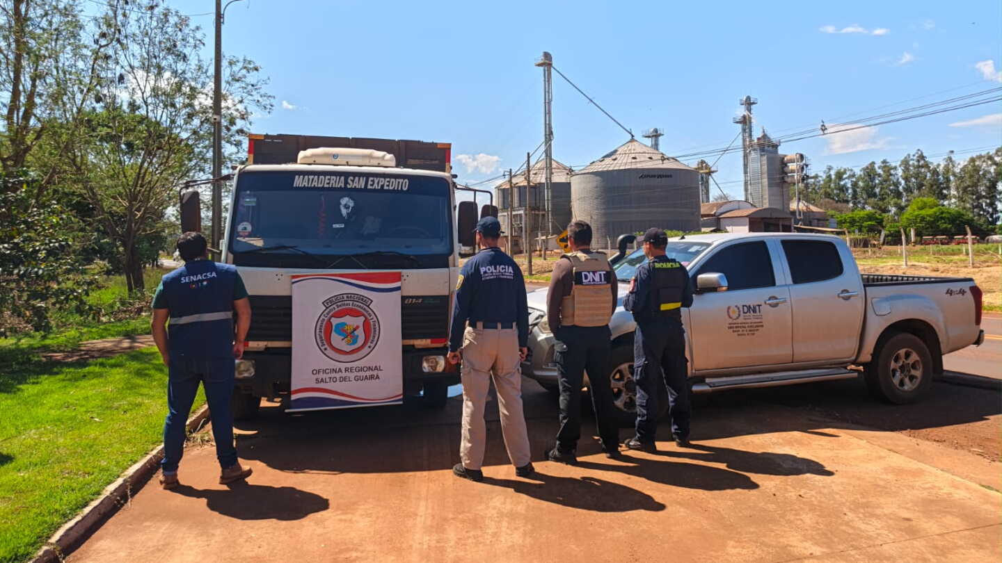 Detienen a camionero que transportaba 46 cerdos sin documentos en Canindeyú