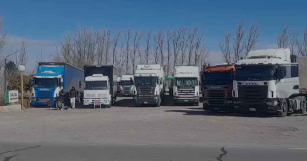 Camioneros paraguayos varados en el paso entre Argentina y Chile reclaman asistencia