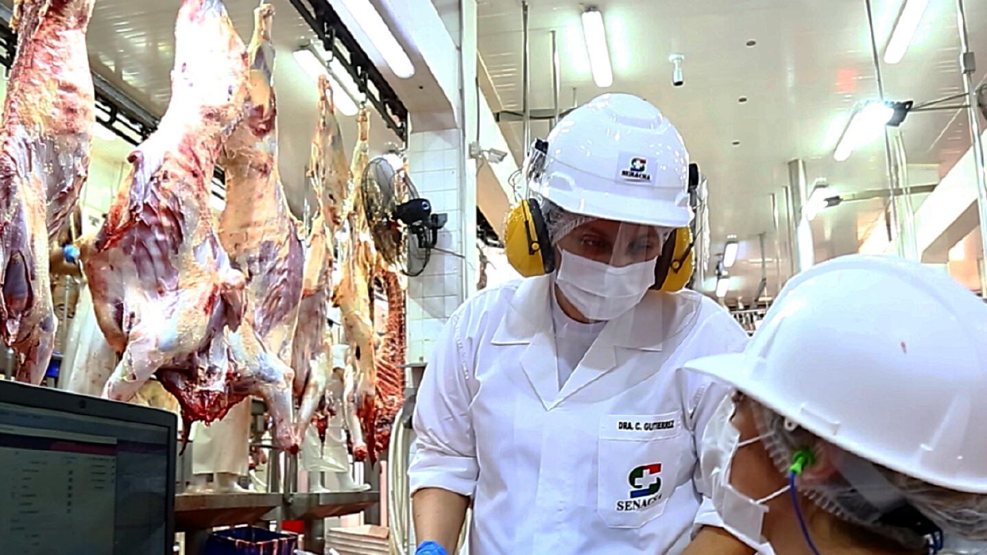 Faena bovina cae 21% en frigoríficos entre enero y agosto