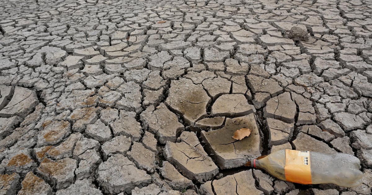 El Niño amenaza la seguridad alimentaria de millones en Latinoamérica, según la ONU