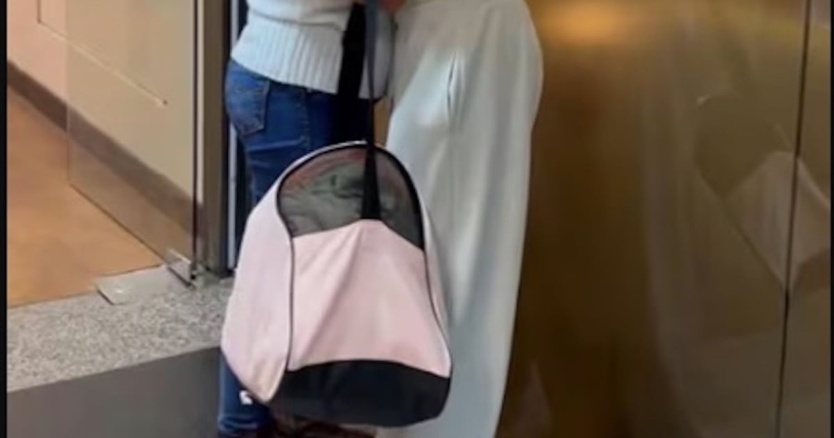 Niña que quedó sola en Francia fue traída al país