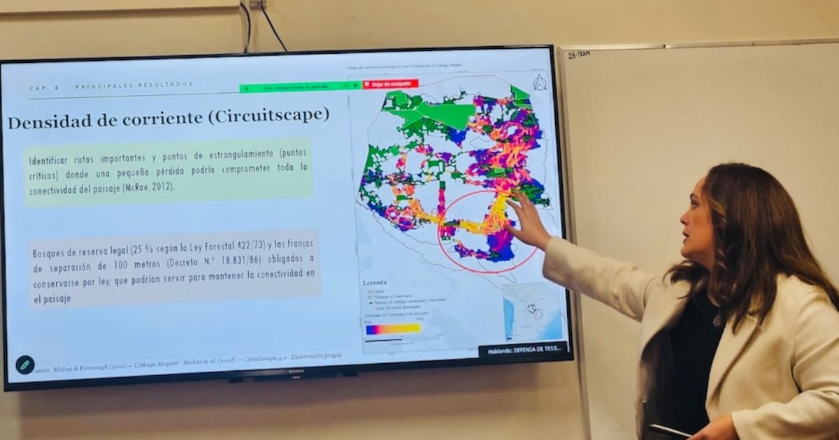 Investigadora presentó estudio sobre el Chaco paraguayo