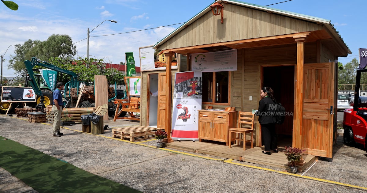 Eucalipto paraguayo se pondrá a prueba para erigirse en casas en Japón