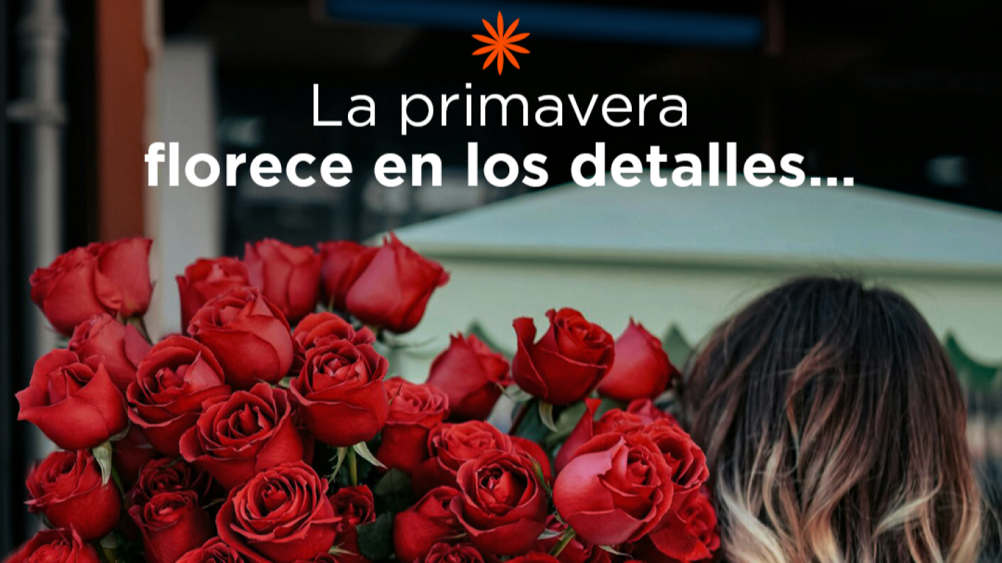 Interfisa recibe la primavera con reintegros de hasta 25%